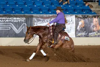 Gelding by SG Frozen Enterprize