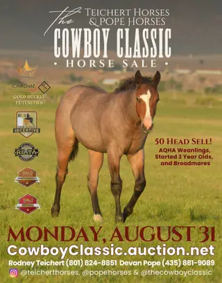 Autumn Smart Catt, 2 Year Old Red Roan Quarter Horse Mare for Sale in Beaver, UT, photo 3 of 4
