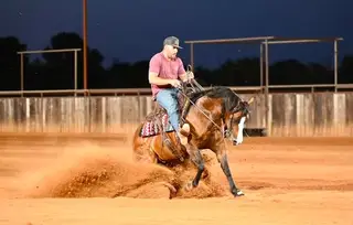 Spooks Chandelier, 4 Year Old Bay Quarter Horse Mare for Sale in Waco, TX, photo 3 of 5