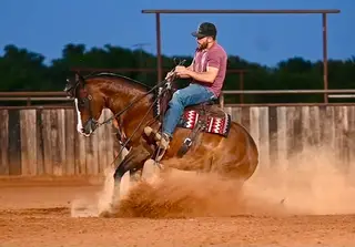 Spooks Chandelier, 4 Year Old Bay Quarter Horse Mare for Sale in Waco, TX, photo 4 of 5
