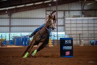Sky's Rare Duck, Sorrel Appendix Gelding for Sale