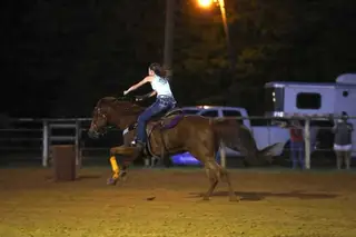 Sky's Rare Duck, Sorrel Appendix Gelding for Sale, photo 2 of 2