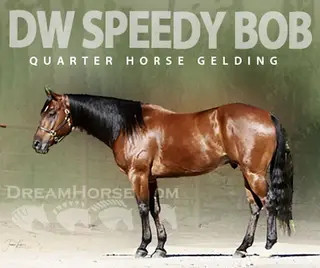 DW Speedy Bob (SpeedyBob)