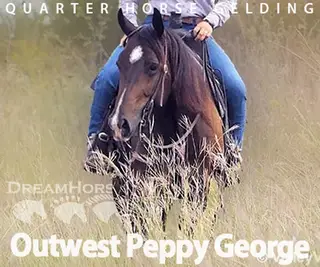 Outwest Peppy George