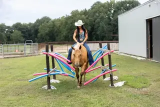 Miss N That Cat, 4 Year Old Palomino Quarter Horse Gelding for Sale in Lewistown, IL, photo 5 of 5