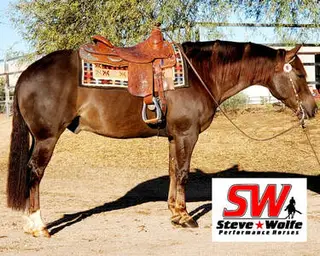 Derby Time, 11 Year Old Quarter Horse Gelding for Sale in AZ