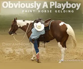 Obviously A Playboy