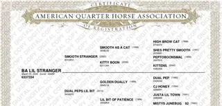 BA Lil Stranger (Bea), 2 Year Old Sorrel Quarter Horse Filly for Sale in Caldwell, ID, photo 2 of 2