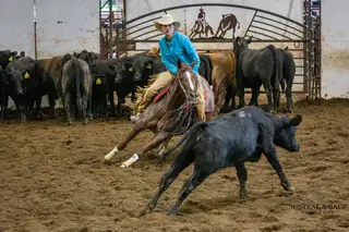 A Star I R, 4 Year Old Sorrel Quarter Horse Mare for Sale in Bellevue, IA