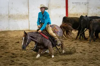 A Star I R, 4 Year Old Sorrel Quarter Horse Mare for Sale in Bellevue, IA, photo 3 of 5