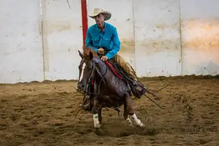 A Star I R, 4 Year Old Sorrel Quarter Horse Mare for Sale in Bellevue, IA, photo 4 of 5