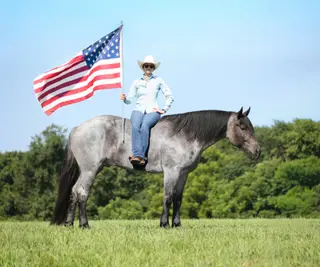 Rio, 6 Year Old Blue Roan Quarter Horse Gelding for Sale in Gladstone, NJ, photo 2 of 4