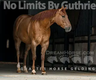 No limits By Guthrie (Hoss)