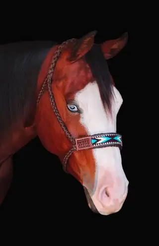 Gotta Nifty Jac (DJ), 4 Year Old Bay Quarter Horse Gelding for Sale in Davenport, NY, photo 4 of 5