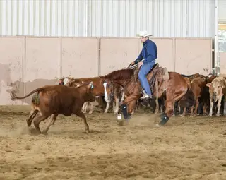 SMOOTHEST BOON, 5 Year Old Sorrel Quarter Horse Mare for Sale in Esparto, CA