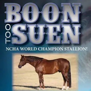 SMOOTHEST BOON, 5 Year Old Sorrel Quarter Horse Mare for Sale in Esparto, CA, photo 3 of 3