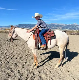 Smooth N Malicious (Sniper), 4 Year Old Red Roan Quarter Horse Gelding for Sale in Bozeman, MT, photo 3 of 4
