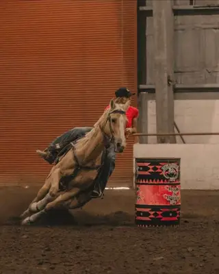 Dainty Rai Lena, 19 Year Old Palomino Quarter Horse Mare for Sale in Litchfield, CA, photo 2 of 5