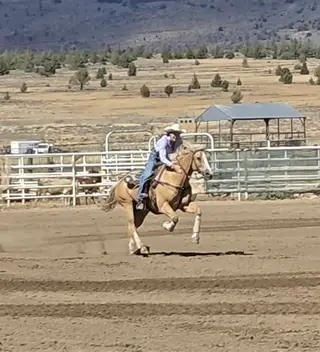 Dainty Rai Lena, 19 Year Old Palomino Quarter Horse Mare for Sale in Litchfield, CA, photo 3 of 5