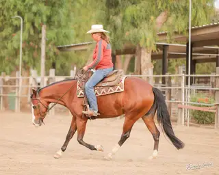 Piper, 3 Year Old Bay Quarter Horse Mare for Sale in CA