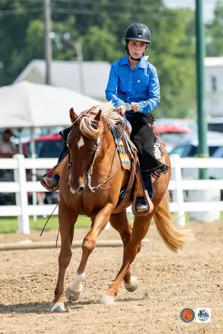 Diamonds on Lace (Lacey), 11 Year Old Sorrel Quarter Horse Mare for Sale in Monroeville, IN, photo 4 of 5