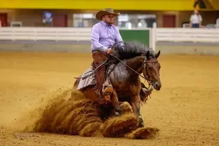 Its Who Ya Kno Joe (Brownie), 4 Year Old Bay Quarter Horse Mare for Sale in Pilot Mountain, NC