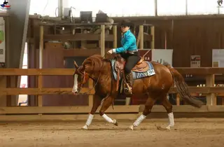 SK Conquistador Gun, 7 Year Old Sorrel Quarter Horse Mare for Sale in Ostrava