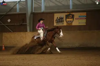 SK Conquistador Gun, 7 Year Old Sorrel Quarter Horse Mare for Sale in Ostrava, photo 2 of 4
