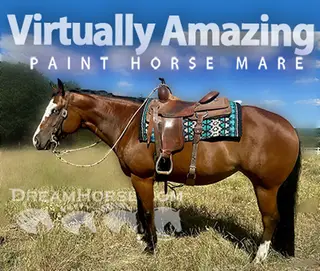 Virtually Amazing (Polly)