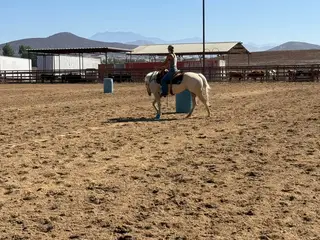Lenalot And Drift (Bestie), 4 Year Old Palomino Quarter Horse Mare for Sale in Winchester, CA, photo 3 of 5