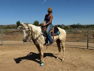 Lenalot And Drift (Bestie), 4 Year Old Palomino Quarter Horse Mare for Sale in Winchester, CA, photo 4 of 5