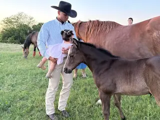 Ravens Stepping Hot, 1 Year Old Bay Quarter Horse Filly for Sale in Wynnewood, OK, photo 5 of 5