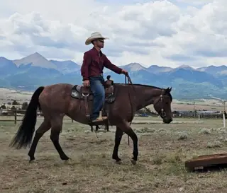 Rowdy Ripone (Ginger), 7 Year Old Bay Roan Quarter Horse Mare for Sale in Westcliffe, CO, photo 4 of 6