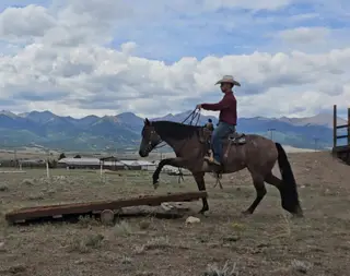 Rowdy Ripone (Ginger), 7 Year Old Bay Roan Quarter Horse Mare for Sale in Westcliffe, CO, photo 6 of 6