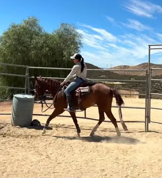 Berry Sweet Cat (Barry), 2 Year Old Sorrel Quarter Horse Gelding for Sale in Agua Dulce, CA