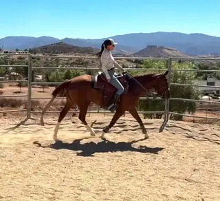 Berry Sweet Cat (Barry), 2 Year Old Sorrel Quarter Horse Gelding for Sale in Agua Dulce, CA, photo 2 of 2