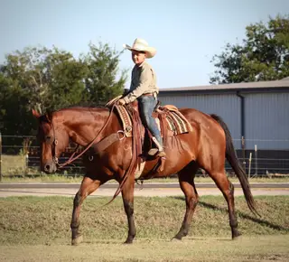 Bay Quarter Horse Mare, 17 Year Old Bay Quarter Horse Mare for Sale in Wolfe City, TX, photo 5 of 5