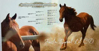 Justa Sweet Lil CD (Lil Roo), 1 Year Old Sorrel Quarter Horse Filly for Sale in Spruce Grove, AB, photo 2 of 5