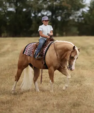 Smokin O Spark (Elvis), 4 Year Old Palomino Quarter Horse Gelding for Sale in Buffalo, MO, photo 2 of 6
