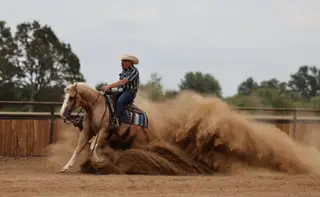 Smokin O Spark (Elvis), 4 Year Old Palomino Quarter Horse Gelding for Sale in Buffalo, MO, photo 3 of 6