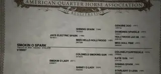 Smokin O Spark (Elvis), 4 Year Old Palomino Quarter Horse Gelding for Sale in Buffalo, MO, photo 6 of 6
