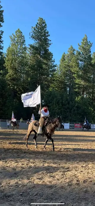 MI Hope for Nu Cash, 9 Year Old Grullo Quarter Horse Gelding for Sale in Roundup, MT, photo 2 of 3