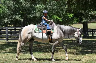 JBC Cashin Star (Fletcher), 4 Year Old Grey Dun Quarter Horse Gelding for Sale in Bakersfield, CA, photo 4 of 6