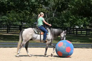 JBC Cashin Star (Fletcher), 4 Year Old Grey Dun Quarter Horse Gelding for Sale in Bakersfield, CA, photo 5 of 6