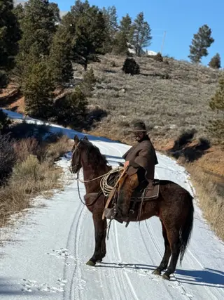 Akiles, 9 Year Old Bay Quarter Horse Gelding for Sale in Fort Duchesne, UT