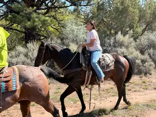 Akiles, 9 Year Old Bay Quarter Horse Gelding for Sale in Fort Duchesne, UT, photo 4 of 5