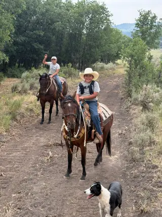 Akiles, 9 Year Old Bay Quarter Horse Gelding for Sale in Fort Duchesne, UT, photo 5 of 5