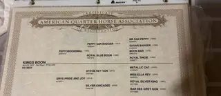 Kings Boon, 1 Year Old Red Roan Quarter Horse Colt for Sale in Wynnewood, OK
