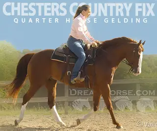 Chesters Country Fix