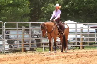 DD Texas Valentine (Fish), Dun Quarter Horse Mare for Sale in Bedford, VA, photo 2 of 5